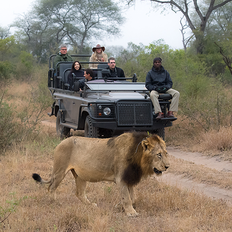 The best safari experience