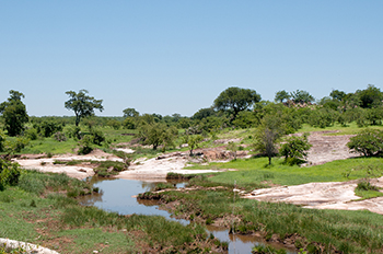 Rondreis Zuid Afrika Nationale Parken