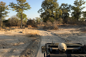 Botswana safaris - lodges